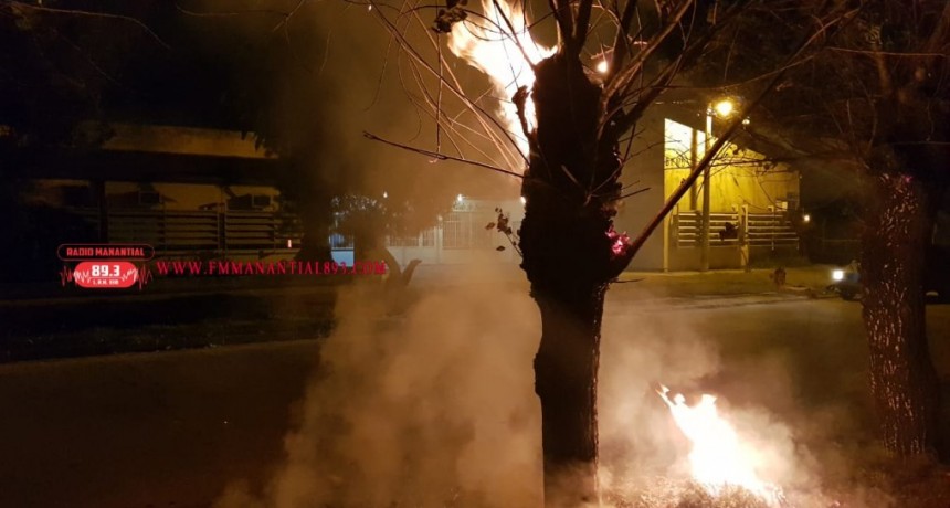Villa &Aacute;ngela: UN NUEVO INCENDIO FUE PROVOCADO EN FRENTE A LA E.E.S. N&deg; 14