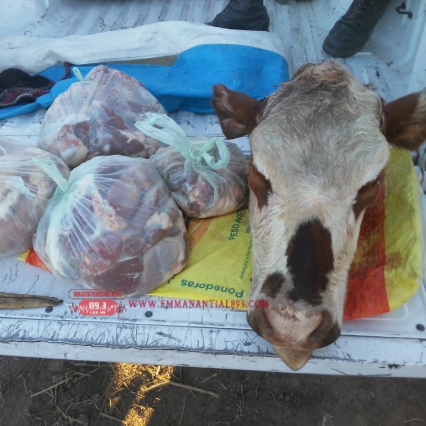 Villa &Aacute;ngela: TRAS OPERATIVO SORPRESA DETIENEN A DOS PERSONAS EN UNA MOTO CON 42 Kg. DE CARNE DE DUDOSA PROCEDENCIA