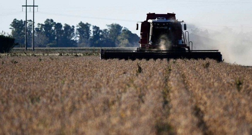 INFORME DEL INTA-Por problemas de eficiencia en la trilla, las p&eacute;rdidas en soja alcanzan los US$ 1.300 millones