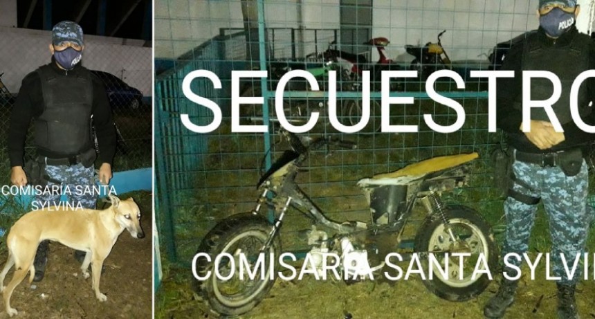 Santa Sylvina: LE ROBARON UNA PERRA Y EL DELINCUENTE LA CAMBI&Oacute; POR UNA MOTO