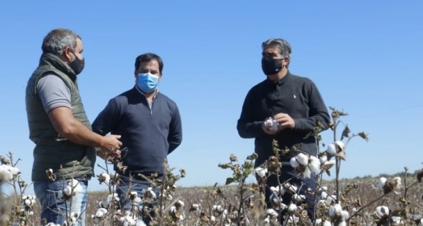 Dos plantas industriales y un campo de algod&oacute;n visit&oacute; el gobernador en el Sudoeste chaque&ntilde;o