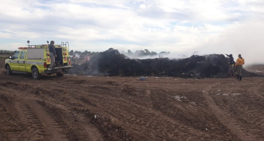 Col. J. J. Paso: UN INCENDIO CONSUMI&Oacute; 5 TONELADAS DE ALGOD&Oacute;N EN UN CAMPO