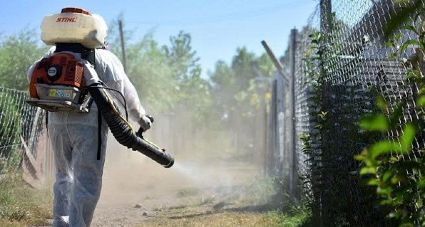 Mosquitos y Covid-19: pol&eacute;mica por pedido de fumigaci&oacute;n en Charata