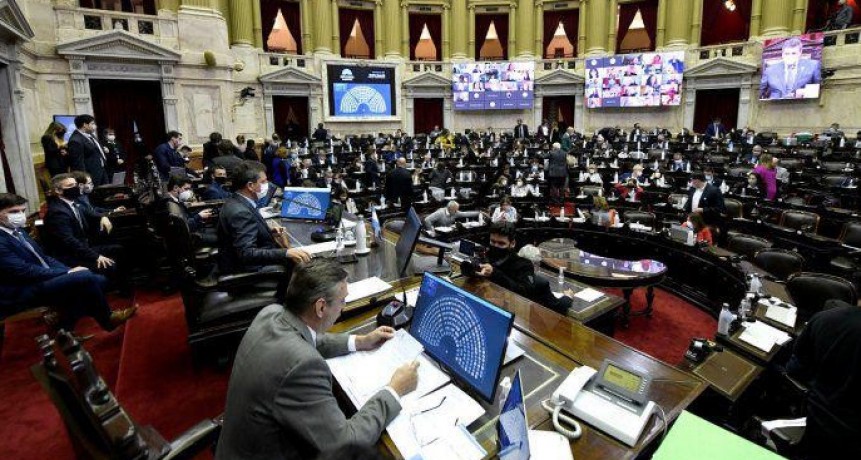 Diputados aprobaron la postergaci&oacute;n de las elecciones PASO y las generales