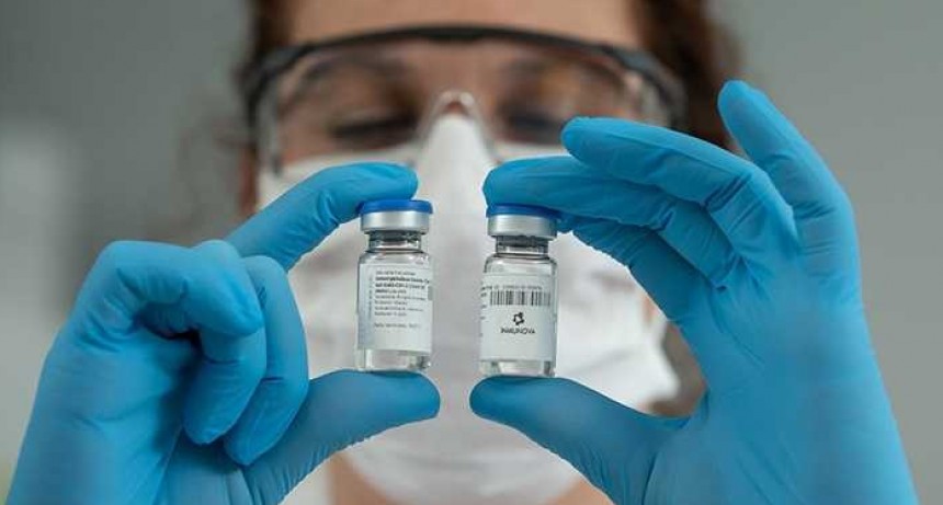 El suero equino hiperinmune anti-SARS-CoV-2 tambi&eacute;n tiene capacidad neutralizante contra nuevas variantes