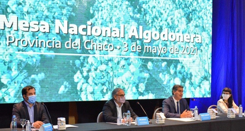 Naci&oacute;n habilit&oacute; el Sistema de Informaci&oacute;n de Operaciones de Algod&oacute;n: "Permitir&aacute; transparentar el mercado", aseguran