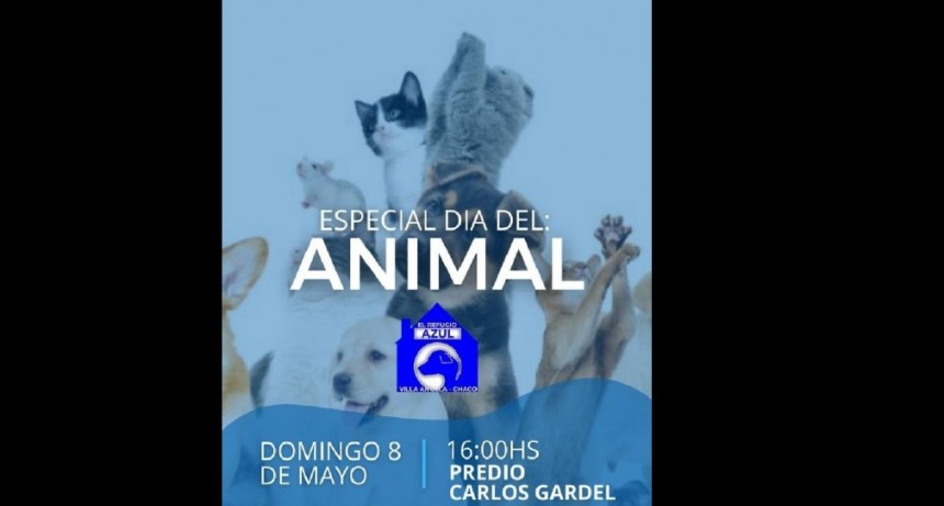 Villa &Aacute;ngela: EL PR&Oacute;XIMO DOMINGO SE FESTEJAR&Aacute; EL D&Iacute;A DE LOS ANIMALES EN EL PREDIO CARLOS GARDEL