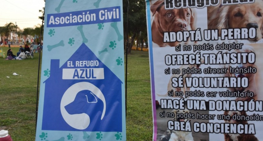 Villa &Aacute;ngela: EL MUNICIPIO ACOMPA&Ntilde;&Oacute; EL EXITOSO DESFILE DE MASCOTAS JUNTO LA FERIA EMPRENDEDORA