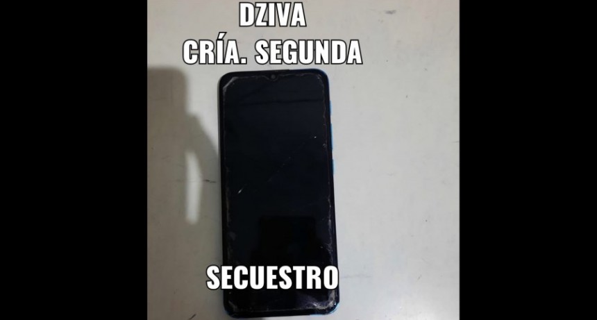 Villa &Aacute;ngela: OFICIALES R&Aacute;PIDAMENTE ESCLARECIERON EL ROBO DE UN CELULAR 