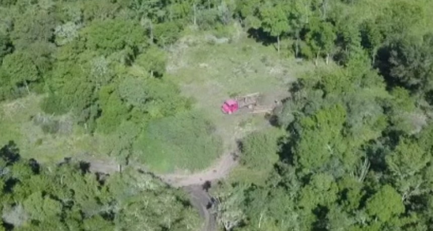 Cote Lai: Allanaron una estancia y hallaron oculto un cami&oacute;n con una carga de lapacho ilegal