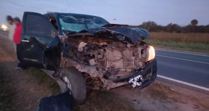 Dos veh&iacute;culos chocaron a animales en rutas del interior