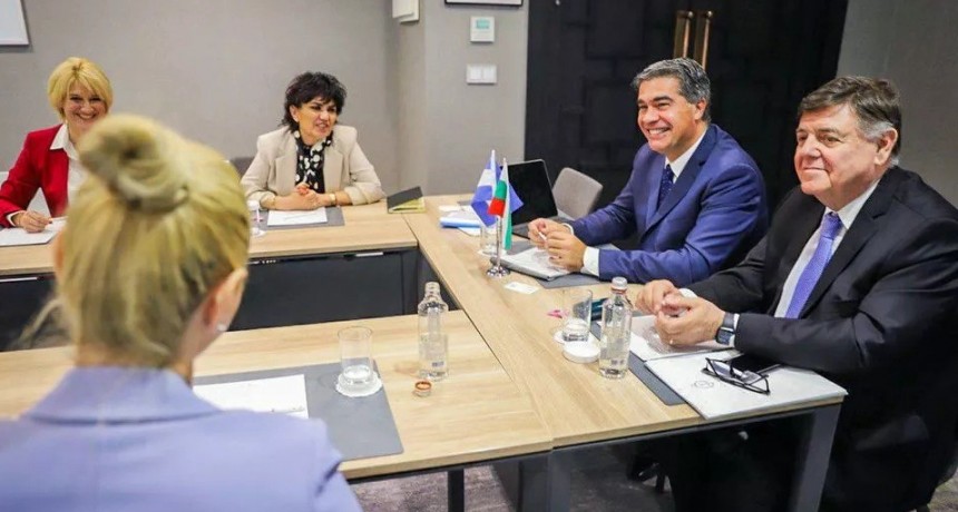 Empresarios b&uacute;lgaros analizan invertir m&aacute;s de ?200 millones en el Chaco