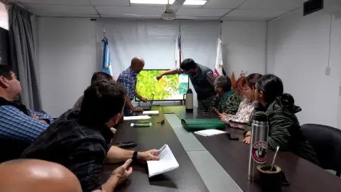 SALUD: EL SENASA CONFIRM&Oacute; UN CASO DE INFLUENZA AVIAR EN EL CHACO