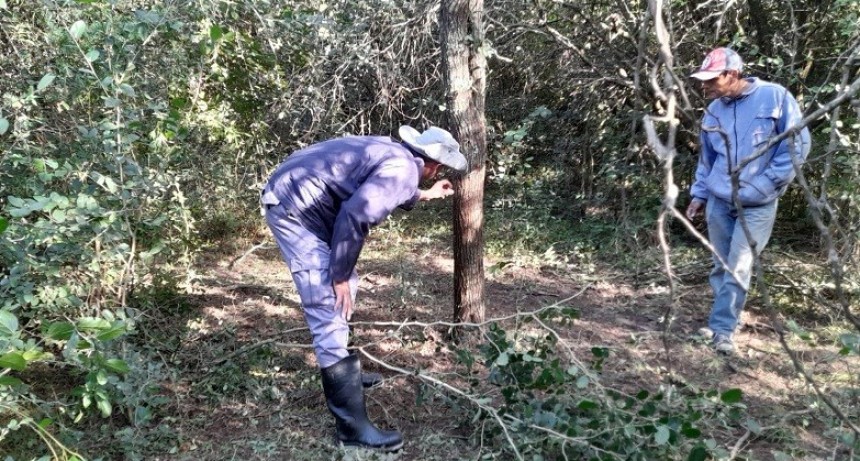 Villa Berthet: DETIENEN A UN HOMBRE POR HURTO DE GANADO MAYOR Y RECUPERAN 30 KILOS DE PRODUCTO C&Aacute;RNICO 