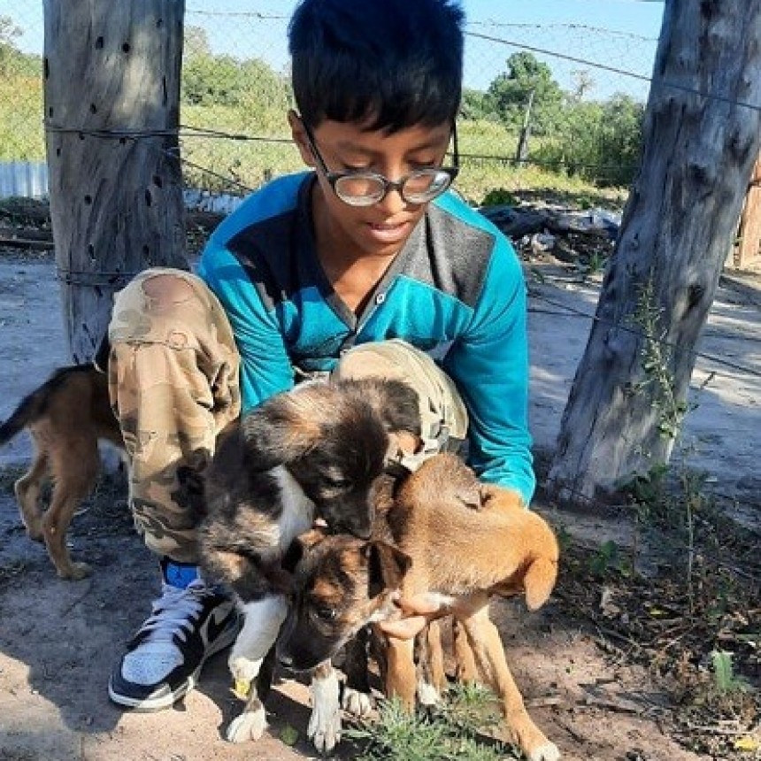 Colonia Juan Jos&eacute; Paso: BOMBEROS RESCATAN CUATRO PERROS CA&Iacute;DOS EN UN POZO
