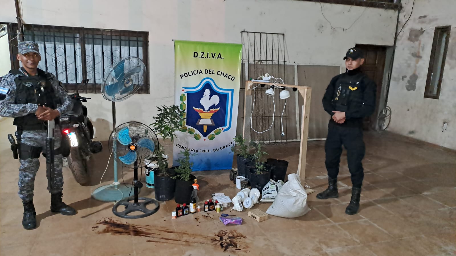 Coronel Du Graty: INCAUTAN VARIAS PLANTAS DE MARIHUANA EN UNA VIVIENDA ABANDONADA