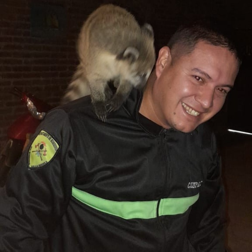 Villa &Aacute;ngela: RESCATAN UN COAT&Iacute; Y LO LIBERAN EN ZONA RURAL 