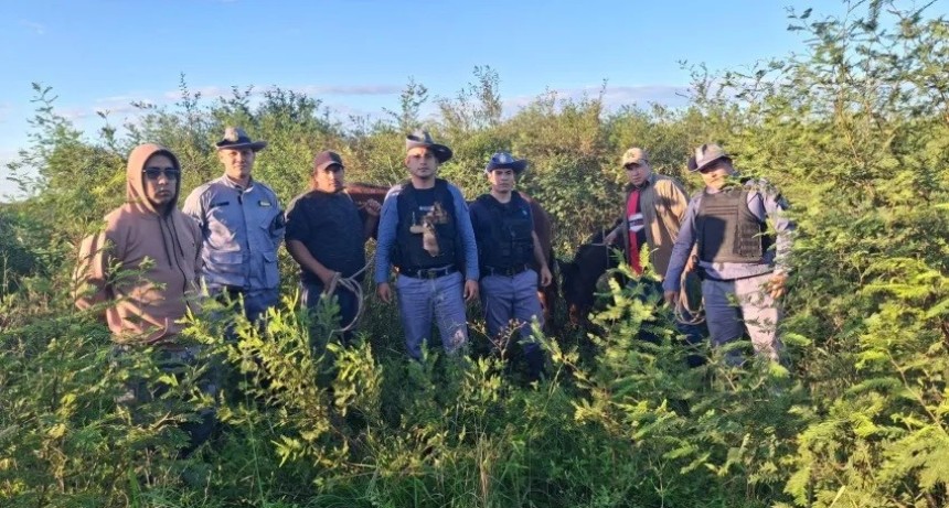S&aacute;enz Pe&ntilde;a: tras un amplio operativo rural, la Polic&iacute;a recuper&oacute; dos caballos robados