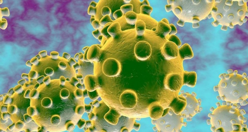 Confirman el primer caso de coronavirus en Formosa