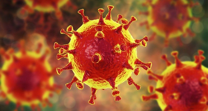 Chaco registra 31 nuevos casos de coronavirus: ya son 1155