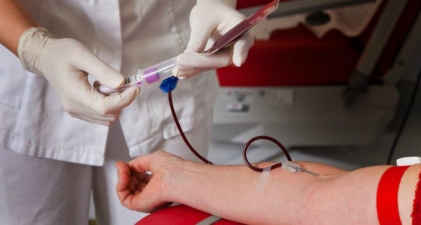 Chaco: 4 pacientes cr&iacute;ticos reciben tratamiento con plasma