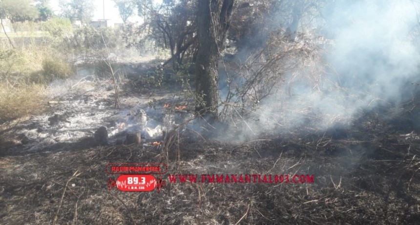 Villa &Aacute;ngela: UN INCENDIO DE PASTIZALES PROVOCADO, CONSUMI&Oacute; 4 CAJONES DE ABEJAS PERJUDICANDO GRAVEMENTE A UN PRODUCTOR.