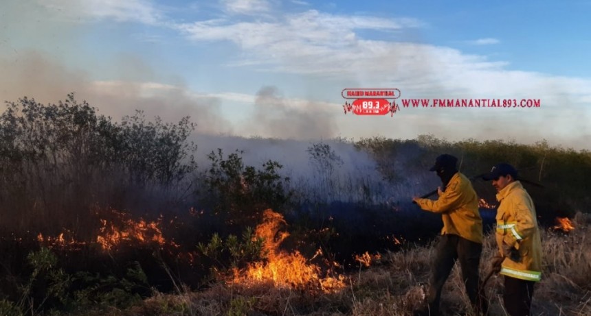 Villa &Aacute;ngela: INCENDIO EN EL ACCESO NORTE CONSUME 4 HECT&Aacute;REAS.