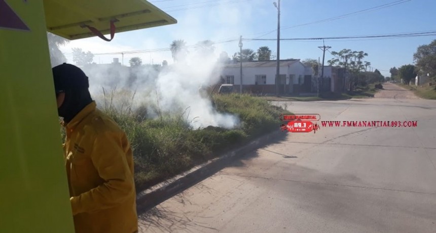 Villa &Aacute;ngela: UN NUEVO INCENDIO PROVOCADO ES SOFOCADO POR PERSONAL DE BOMBEROS