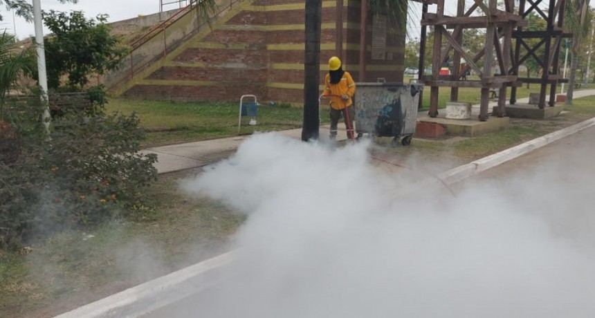 Villa &Aacute;ngela: DIVISI&Oacute;N BOMBEROS LOGR&Oacute; APAGAR EL INCENDIO DE UN CESTO DE BASURA DEL PREDIO CARLOS GARDEL