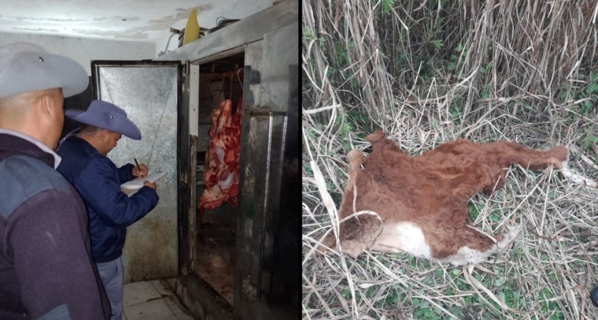 La Tigra: FAENO UN VACUNO AJENO Y T&Eacute;RMINO TRAS LAS REJAS