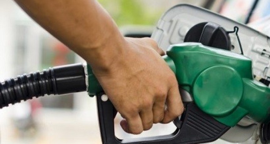 Prev&eacute;n que "en diez d&iacute;as" comenzar&iacute;a a normalizarse la provisi&oacute;n de gasoil