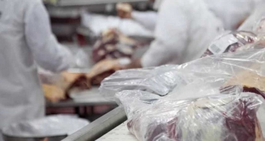 Las exportaciones de carne crecieron 13% en mayo