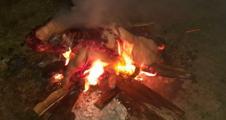 Samuh&uacute;: UNIFORMADOS DE LA COMISARIA LOCAL SECUESTRAN ANIMAL PORCINO