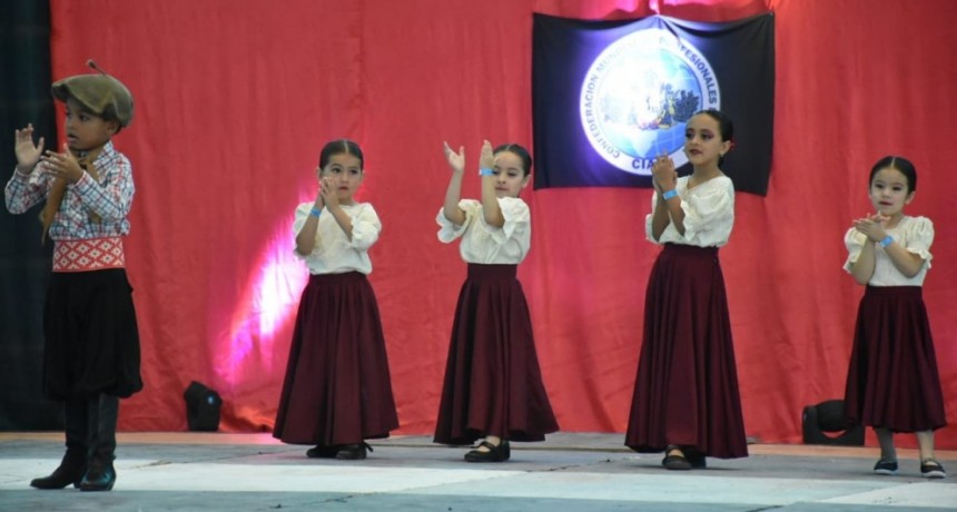 Villa &Aacute;ngela: EL INTENDENTE PAPP DESTAC&Oacute; LA REALIZACI&Oacute;N DEL 1&deg; CONCURSO INTERNACIONAL DE DANZALMA 