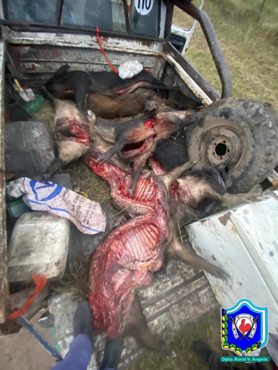 LA DIV. DE OPERACIONES RURALES VILLA ANGELA SECUESTRO MÁS DE 200 KILOS DE CARNE DE CAZA ILEGAL Y ARMAS BLANCAS