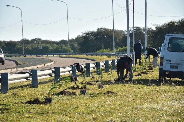 KOSCIAK DESTAC&Oacute; LA PLANTACI&Oacute;N DE 400 LAURELES EN EL ACCESO NORTE Y EL AVANCE DEL PLAN DE FORESTACI&Oacute;N EN VILLA &Aacute;NGELA