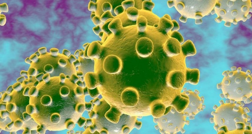 Chaco: SALUD ACTUALIZ&Oacute; LA INFORMACI&Oacute;N SOBRE CORONAVIRUS 