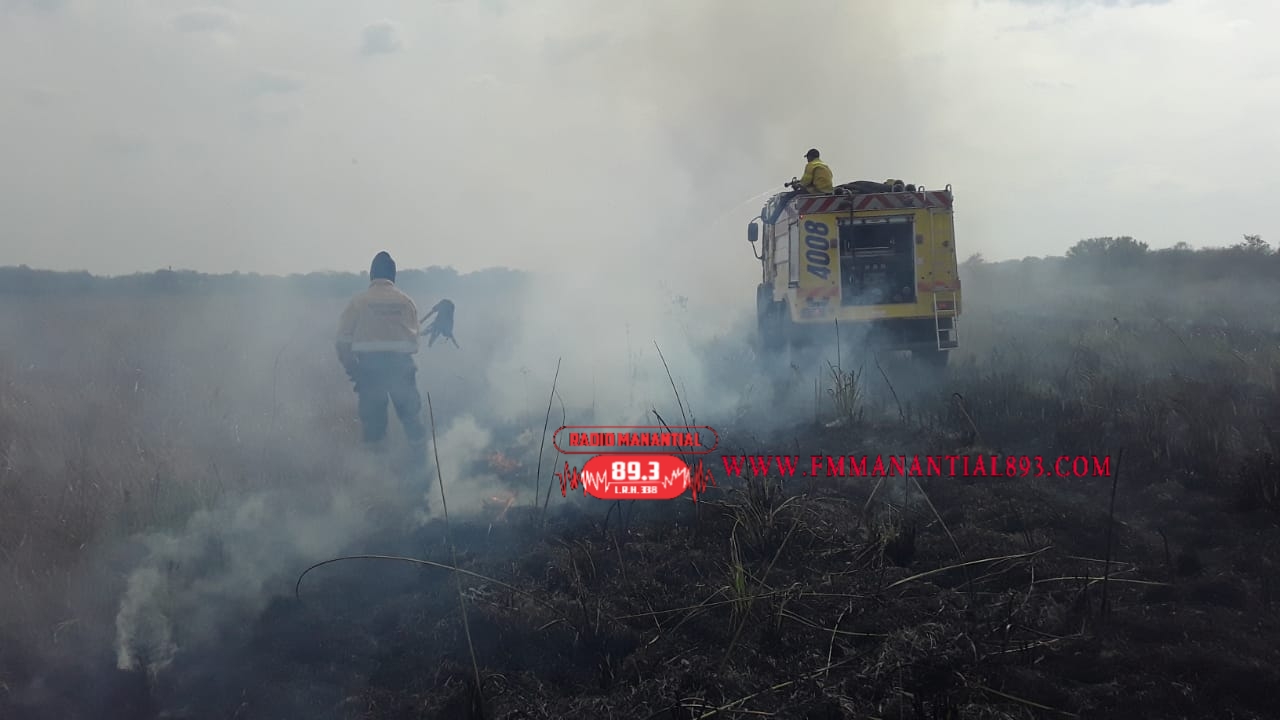 Villa &Aacute;ngela: INCENDIO EN EL LOTE 11 QUE CONSUMI&Oacute; 5 HECTAREAS DE CAMPO