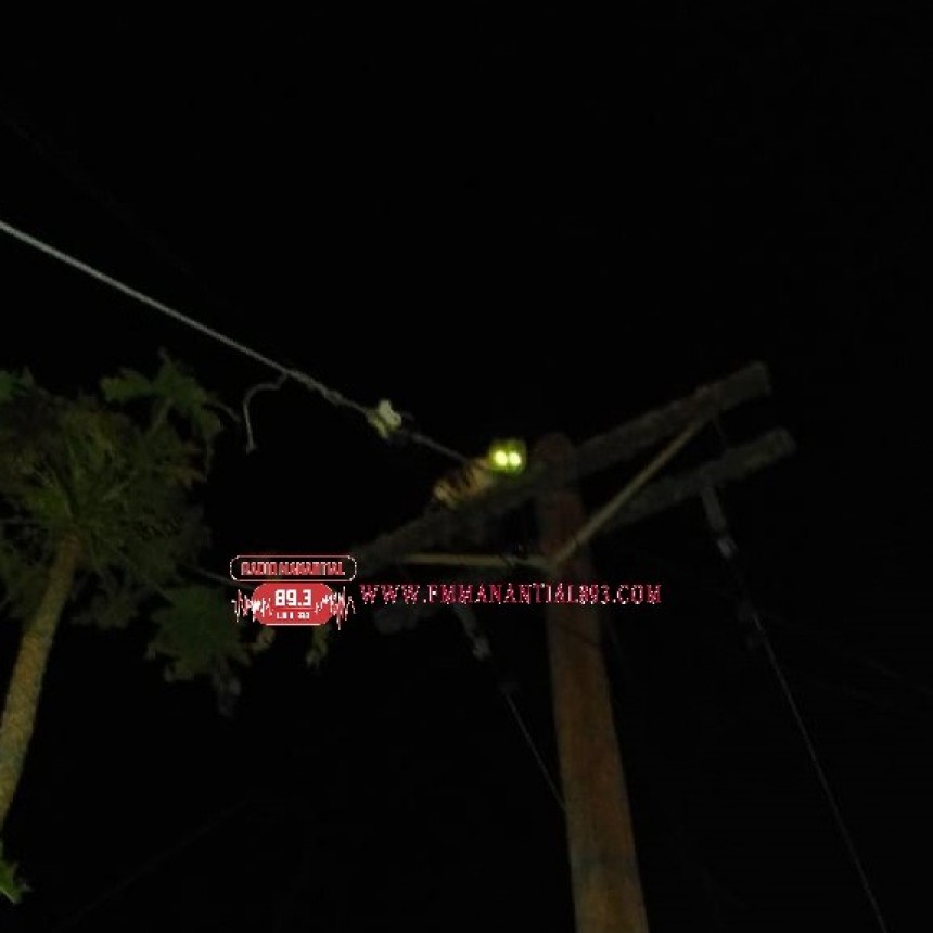 Villa &Aacute;ngela: BOMBEROS RESCAT&Oacute; UN GATO ATRAPADO EN UN POSTE DE LUZ