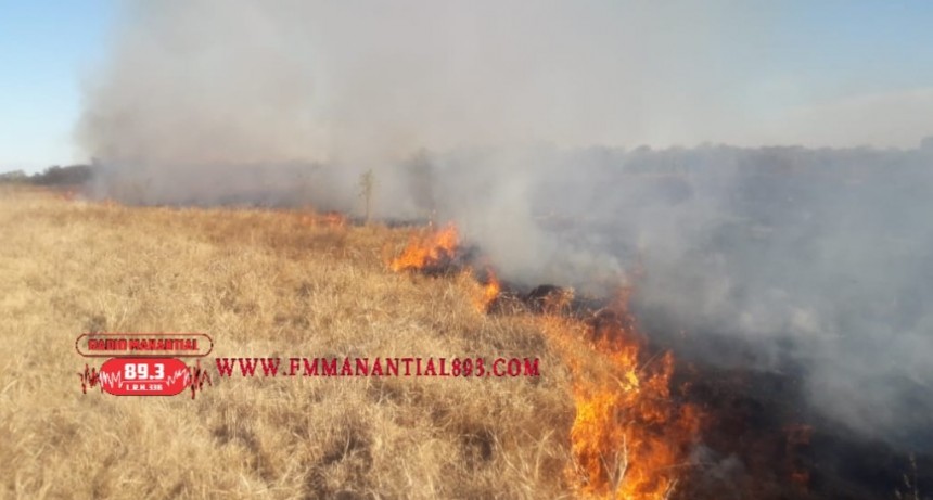 Villa &Aacute;ngela: UN INCENDIO CONSUMI&Oacute; 5 HECT&Aacute;REAS EN EL ACCESO NORTE DE LA CIUDAD