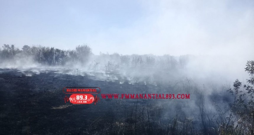 Villa Angela: UN INCENDIO DE PASTIZAL CONSUMI&Oacute; 5 MIL mts2. DE TERRENO