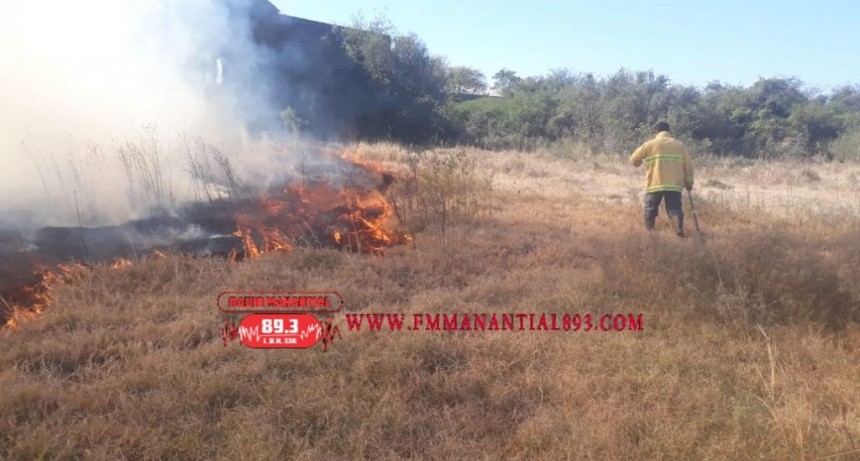 Villa &Aacute;ngela: INCENDIO AFECTA 10 MIL METROS CUADRADOS DE TERRENO