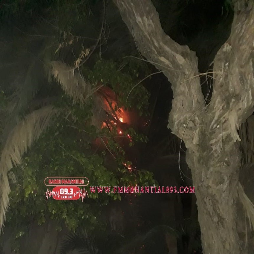 Villa &Aacute;ngela: EL INCENDIO DE UN &Aacute;RBOL POR POCO COMPROMETE EL CABLEADO EL&Eacute;CTRICO
