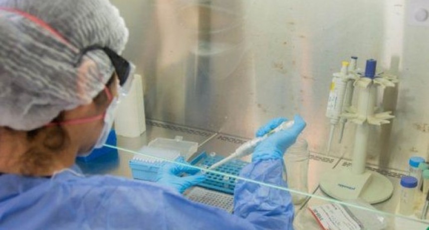 Naci&oacute;n registr&oacute; 48 contagios por coronavirus y un fallecimiento en Chaco durante las &uacute;ltimas 24 horas