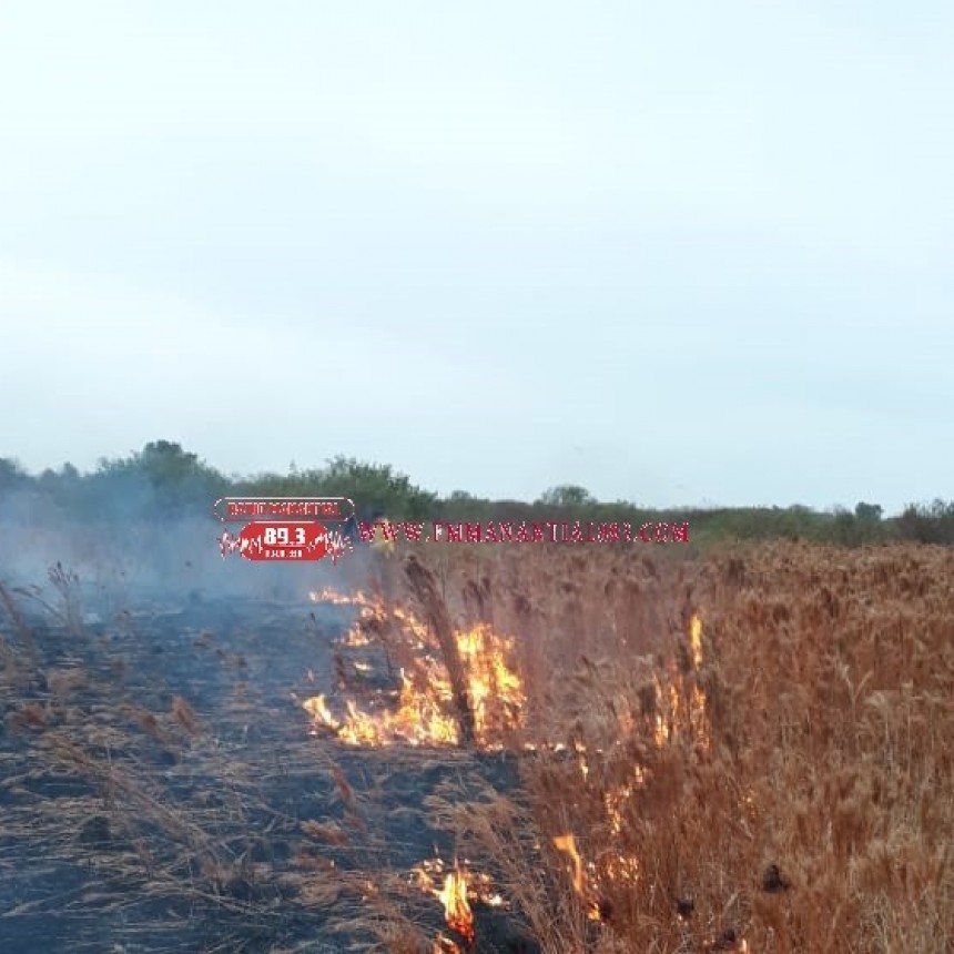 Villa &Aacute;ngela: BOMBEROS INTERVINO UN INCENDIO QUE CONSUMI&Oacute; 3 HECT&Aacute;REAS TRAS EL LLAMADO DE UN VECINO
