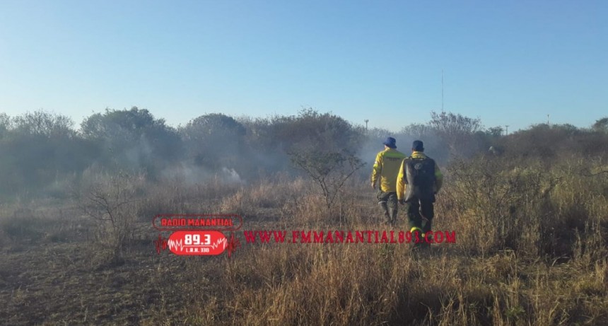 Villa &Aacute;ngela: UN INCENDIO CONSUMI&Oacute; 10 HECT&Aacute;REAS DEL PREDIO " EL CARANCHAL"