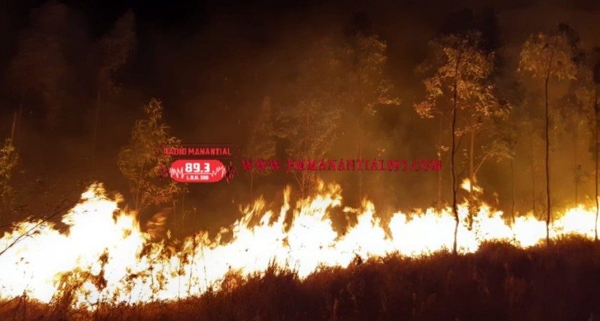 Coronel Du Graty: IMPRESIONANTE INCENDIO DE CAMPO AFECT&Oacute; 120 HECT&Aacute;REAS DE TERRENO