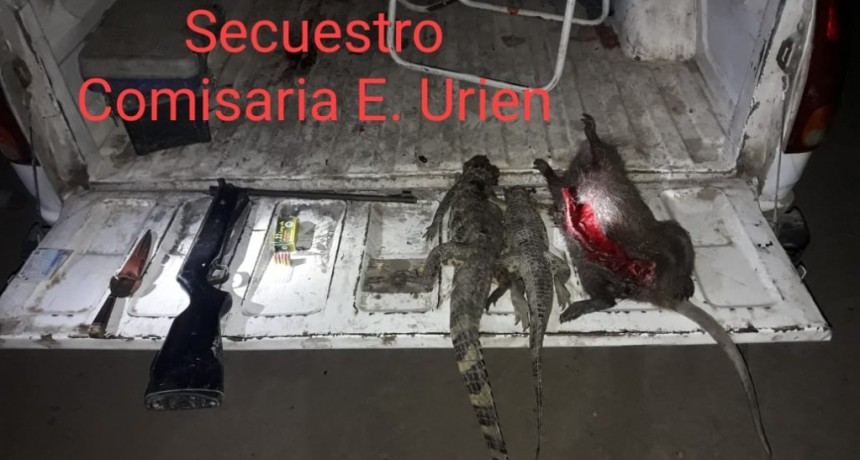 Enrique Urien: DETIENEN A 5 HOMBRES PORTANDO ARMAS SIN DOCUMENTACI&Oacute;N Y CON NUTRIAS Y YACAR&Eacute;S FAENADOS
