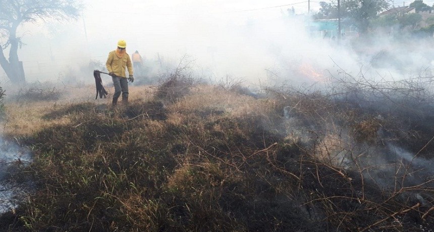 Villa &Aacute;ngela: Un Nuevo Incendio de Basura y Pastizales alert&oacute; a los Bomberos que lograron controlar el fuego