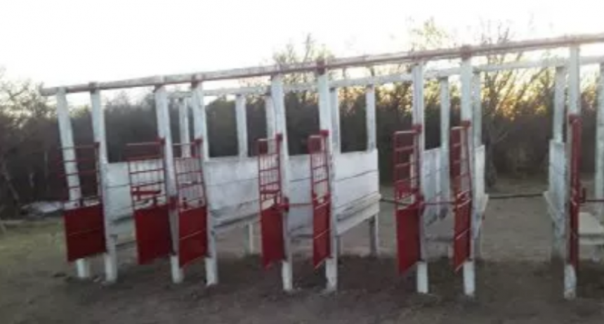 Suspendieron una carrera de caballos clandestina y secuestraron m&aacute;s de 100 mil pesos